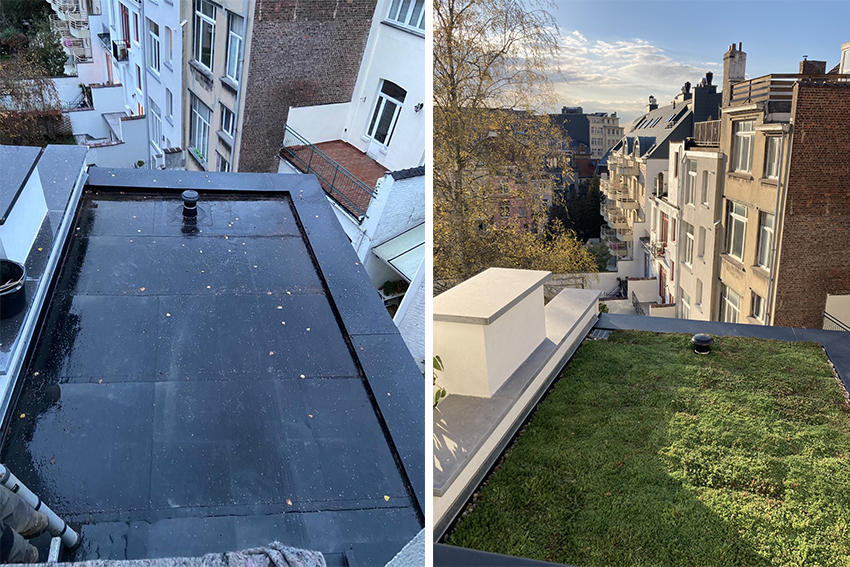 Avant-après toiture végétalisée à Bruxelles 
